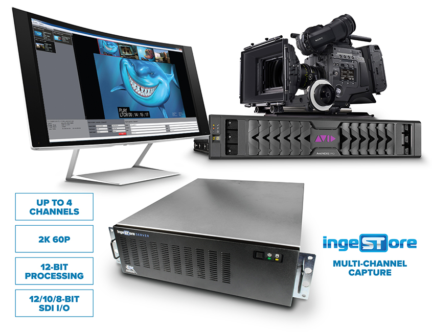 ingestore review 003