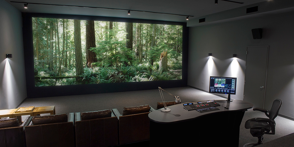 Local Hero and Bluefish444