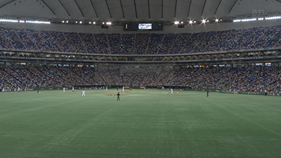 Nippon TV. Crescent Japan. Bluefish444.